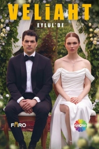 Наследник турецкий сериал